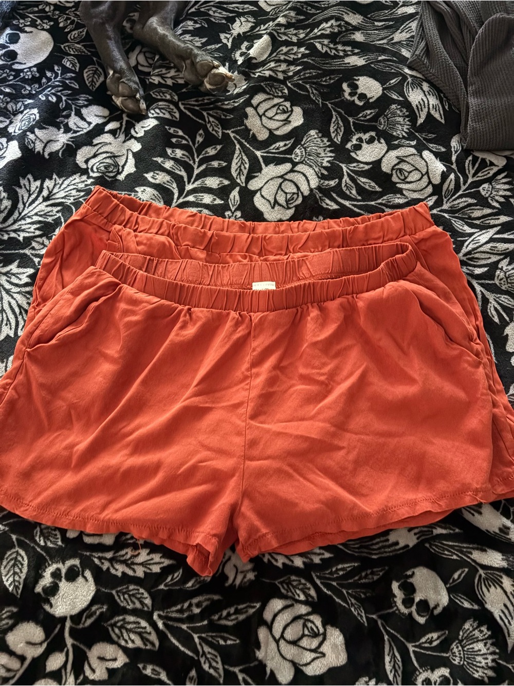 Blackthorn LA Rust Orange Elastic Waist Shorts